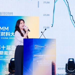 SMM：全球锂盐市场发展现状及未来展望 碳酸锂未来价格走势预测【锂电原材料大会】 ...