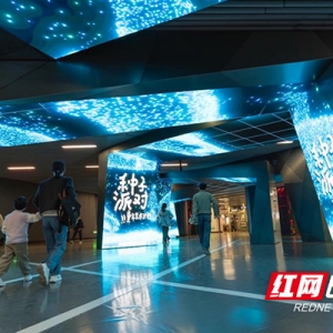 长沙地铁被童真“涂鸦”，快来参与“种子派对”