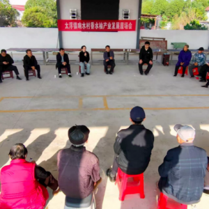 临澧县太浮镇：“柚”是富民好产业，屋场共商发展路