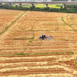 从“田间负担”到“产业黄金” 湖南湘潭县秸秆利用实现绿色新生 ...