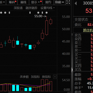 事关稀土出口，300748重磅透露，人形机器人布局也有大消息