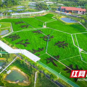 2025年长沙市儿童友好城市“益客行”亲子活动即将启幕