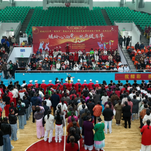 桃江：3000余名银龄老人共赴“重阳盛宴”