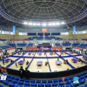 湖南省乒乓球“三湘球王”总决赛在衡山县举行