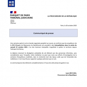 法国检方确认卢浮宫抢劫案嫌疑人被捕