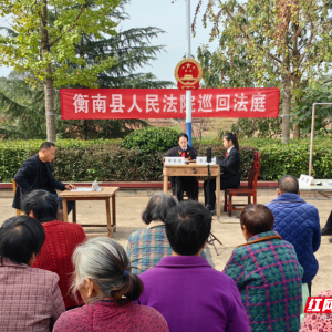 衡南：巡回法庭搬进屋场 全程直播6.8万人观看