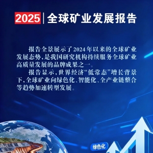 最新《全球矿业发展报告2025》内容，涉及贵金属矿产金、银、铂 ...