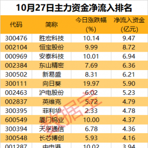 主力资金丨2股尾盘获主力资金大幅出手