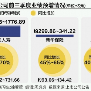 保险股三季报的“虚”与“实”