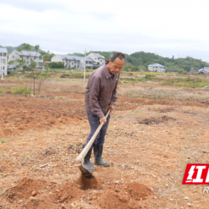 中方县：抢抓农时种油菜 田间劳作绘 “丰” 景