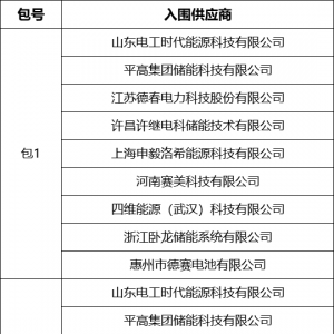 17家企业入围！中国电气装备储能电池集采成交人名单公布