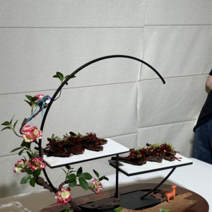 安化：烟溪酒糟鱼“游”出产业振兴新路径