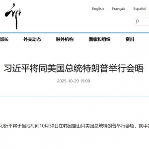 习近平将同美国总统特朗普举行会晤