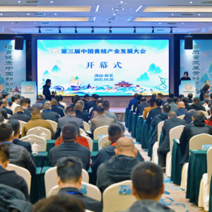 观潮的螃蟹丨湖南“鼻尖”有宝藏