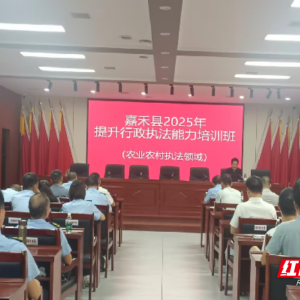 嘉禾县：破局涉企执法难题  助力企业高质量发展