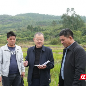 嘉禾县：监督护航民生实事项目落地