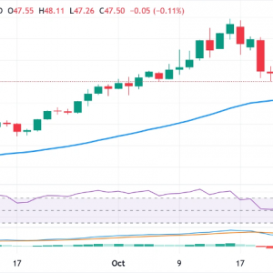 白银价格预测：技术信号喜忧参半，白银徘徊于47.00美元附近