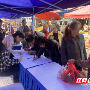 荷塘区仙庾镇开展“职引未来”专场招聘会