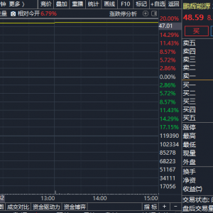 20%涨停！盘中，直线拉升！发生了什么？