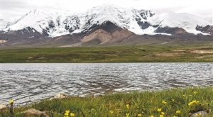 “中华水塔”生态屏障，这样加固（生态治理中的中国智慧） ...