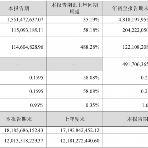 中矿资源：Tsumeb冶炼厂多金属综合循环回收项目第一期点火试运行 ...