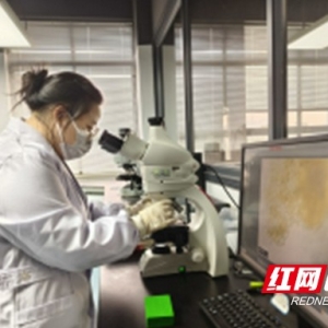 益阳市食品药品检验所完成樟树子、椒目省级中药材标准修订 ...