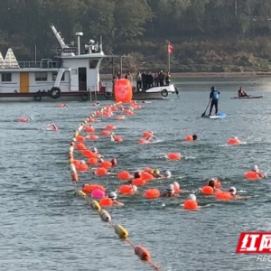 我爱湘潭我的家丨万楼为幕 湘江作台 冬日“泳”者绘就莲城风景线 ...