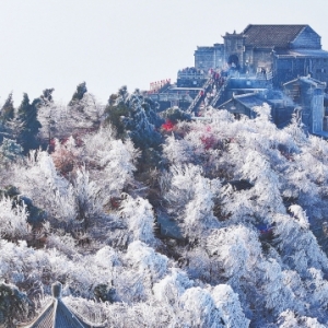 玉树琼枝南岳美