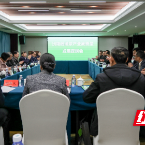 品牌价值高达41.3亿元！沅陵碣滩茶产业高质量发展座谈会召开 ...