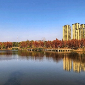 常德本周天气先回暖再“跳水” 19日晚降温降雨大风齐上线