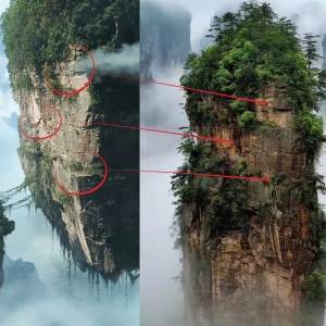 张家界国家森林公园发布《阿凡达》十大取景地