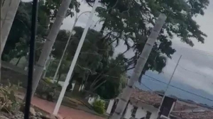 哥伦比亚西南部发生武装袭击事件