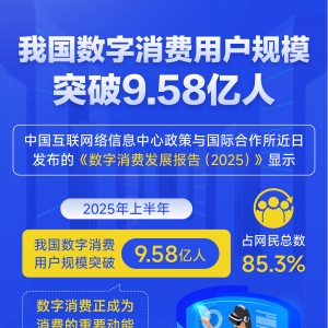 我国数字消费用户规模突破9.58亿人
