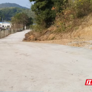 嘉禾县石桥镇：财政聚力 铺就乡村幸福路