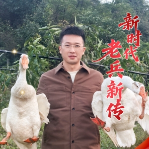 新时代老兵新传·兵支书│王亚敏：从电力尖兵到绿野先锋