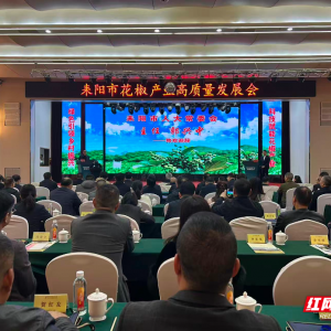 湖南耒阳：麻辣小城 “椒”傲出圈