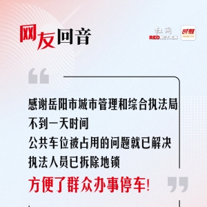 网友回音丨感谢岳阳市城管局，公共车位被占用的问题已解决！ ...