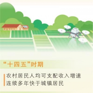 一个村何以集聚58家法兰锻造企业（迈向“十五五”的发展图景·大国小村） ...