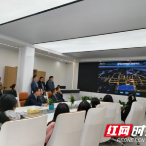 省电又聪明！望城智慧路灯上线