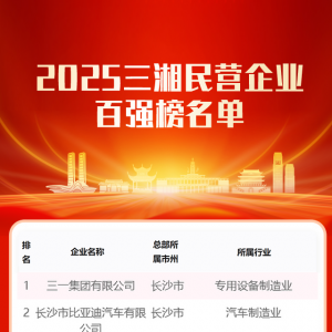 快讯丨2025三湘民营企业百强榜发布