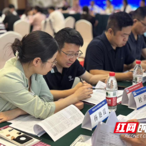 代表心声·民生回响⑤丨从代表建议到民生实践 一份医保建议背后的怀化答卷 ...