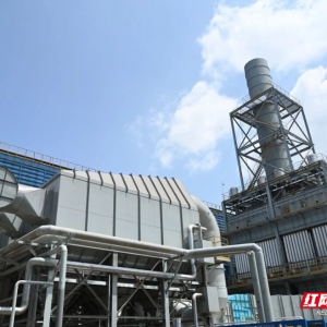 “绿”动钢城：衡钢以超低排放书写企城共融新篇章