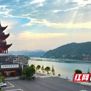 安化黑茶成功获批国家地理标志保护示范区