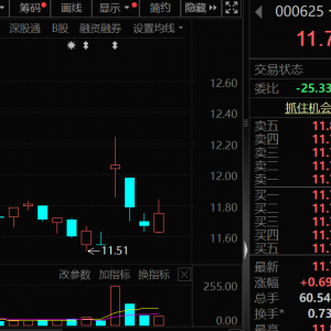 价格暴涨28.8万元/吨，600549，历史新高！