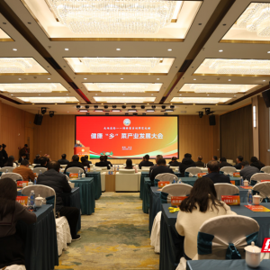 湖南健康“乡”菜产业发展大会在桂东召开  共谋乡土餐饮振兴新路径 ...