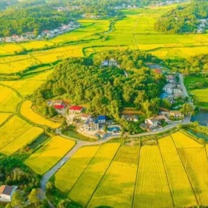 省级重点旅游村！望城这两个村上榜