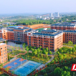 红观永州丨从日升校园，到湘超赛场：绿茵之光照亮育人之路 ...