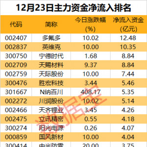 主力资金丨2股尾盘获重点出击