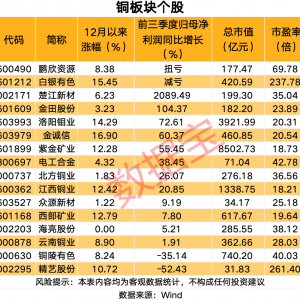 价格暴涨，这个品种创历史新高，概念股名单来了