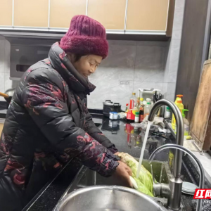 蒸阳“治”慧①丨从“看客”到“主角”：合甫人“当家”记 ...